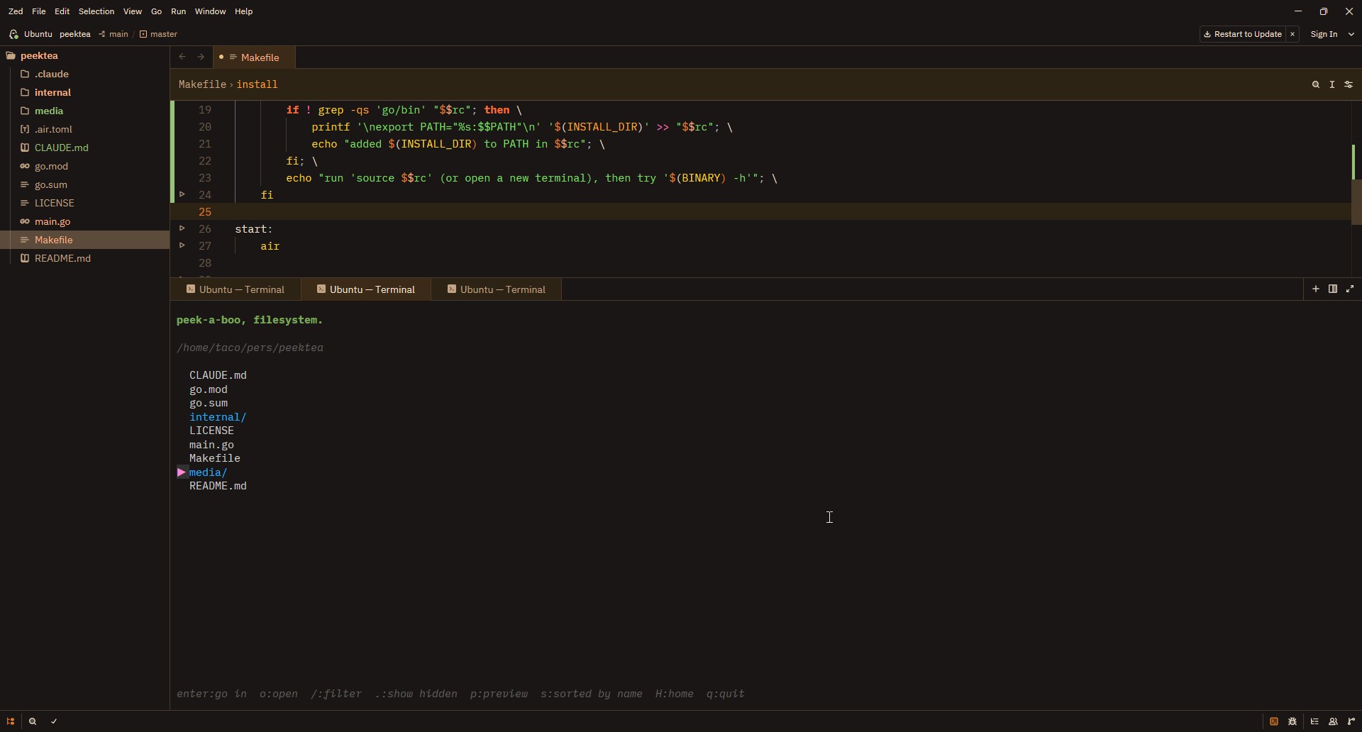 WSL support